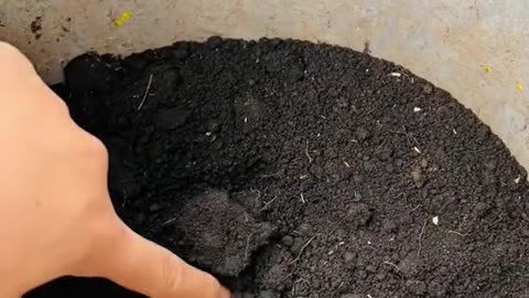 los campesinos que trabajan para llevar la comida a nuestras casas!