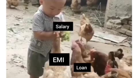 Funny about salary