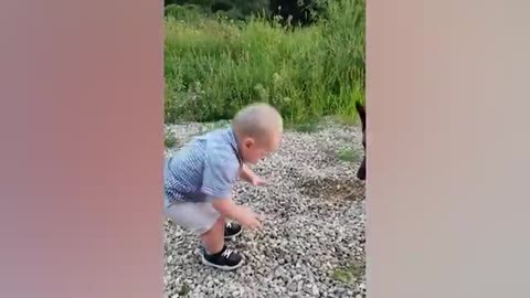 Funny Babies Playing with Dogs Compilation - Funny Baby and Pets __ Cool Peachy