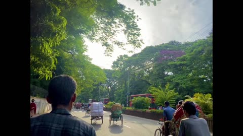 Beauty of Dhaka Bangladesh| touch of love|beautiful nature|