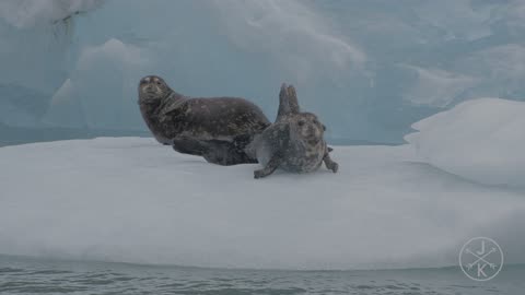 Alaska in 8K 60p HDR (Dolby Vision)