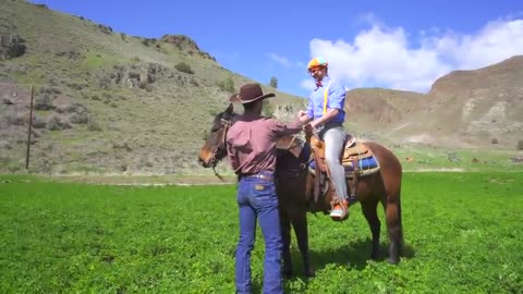 Blippi Learns About Animals For Kids At The Animal Shelter | Educational Videos For Toddlers