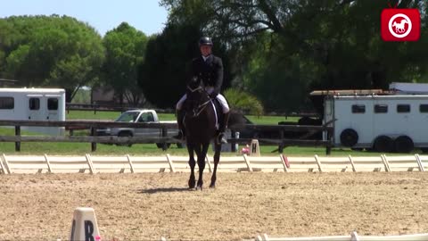 Tuxedo Thyme ABA - Dressage