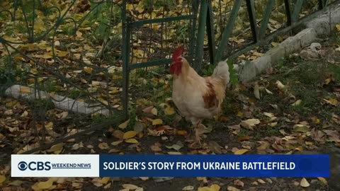 Ukrainian soldier reflects on war with Russia