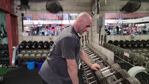 Should Shrug Variations