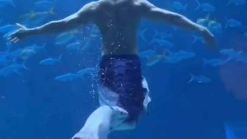 Watch: Sculpted Merman Takes the Stage in an Aquarium! 🧜‍♂️🌊