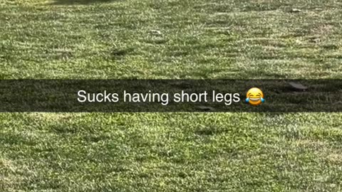 Sucks having short legs