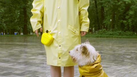 A Woman Training a Dog To Stay and sit Down