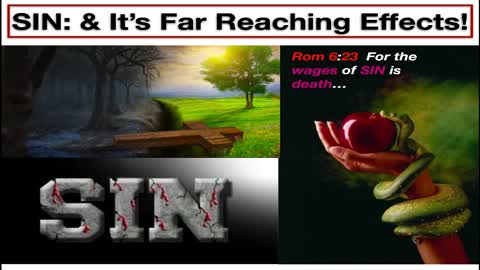 SIN: & It’s Far Reaching Effects!