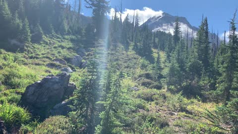 Oregon - Looking up at Mount Hood