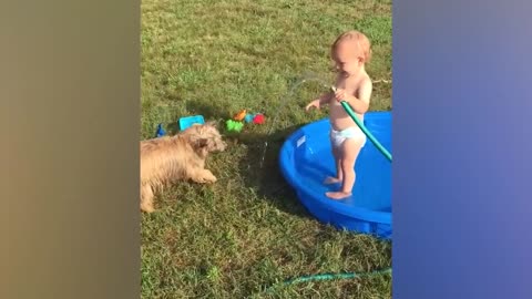 TRY NOT TO LAUGH CHALLENGE - Babies Playing Water In The Pool | PatPat