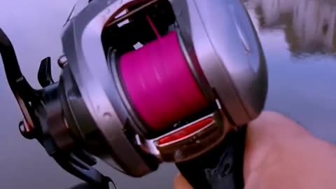 Shallow spool on Daiwa SS SV 2014 #fishing #fishingvideo #shot #shots #daiwafishing #daiwareels