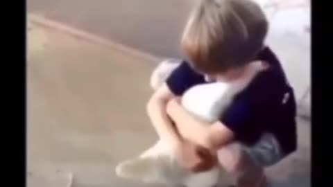 Heartwarming Child and Animal Love