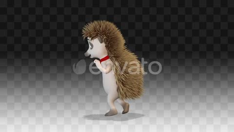 Hedgehog Dancing Funny Dance