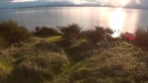 Golden hour - Wave hello to the Olympic Peninsula peeps