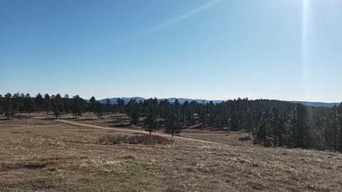 November 3rd, 2021 dispersed camping site North Pole road Black hills National Forest South Dakota