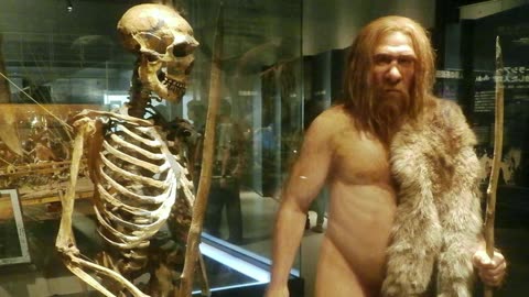 Neanderthals: Physical Traits & Genetic Information