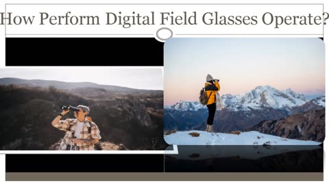 Just How Perform Digital Binoculars Function?