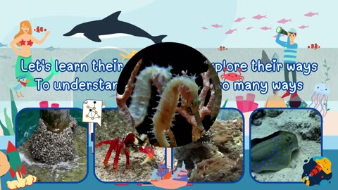 Learn 20 Sea Animals _ Sea Animal Songs _ Animal Songs _ Vocabulary Songs for Children