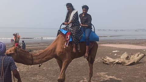 Camel Ride beach