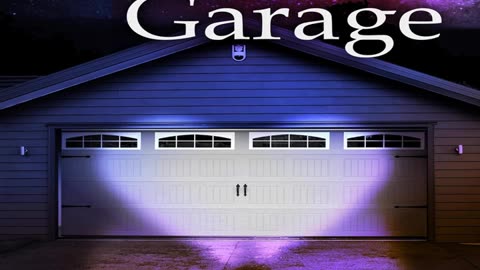 Book Review: Romance In a Garage: Based on a True Story by Leroy Vincent