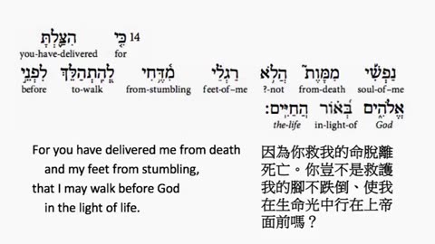 psalm 56 in hebrew _ salmo 56 en hebreo