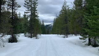 Gorgeous Willamette National Forest – Potato Hill Sno-Park – Central Oregon – 4K