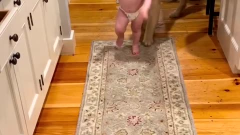 Funny dog 🐶 😁 😁 😁 l Dog Training Course Check out Link In Description 👇 👇