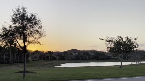 Southwest Florida Sunset- Horizontal #fyp #4k #sunset