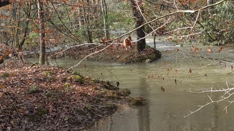 Hiking after the rain