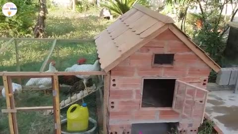 How to make a beautiful chicken coop from red bricks and wood