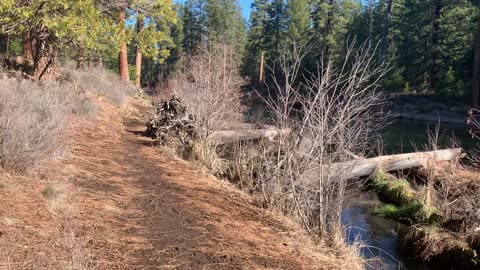 The River Makes a Great Listener – Metolius River – Central Oregon