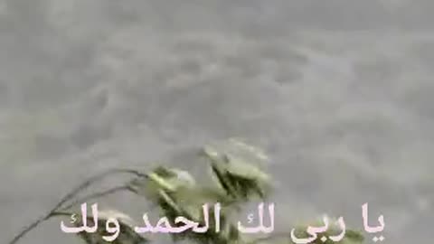 بلادي بلادي منار الهدى