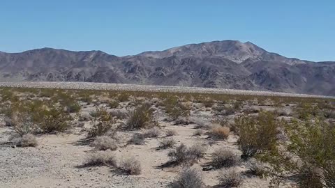 "Turkey Flats" in California Joshua Tree Nat'l Forest 4/28/23 Beauty