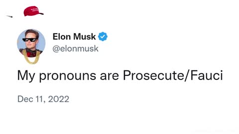 Elon Musk: My pronouns are Prosecute/Fauci !!! BOOOOOM!!!