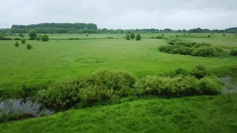 Flying over green field with grazing cows and sheep. Aerial background of country landscape