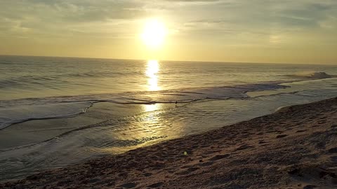 Golden Hour At Vero Beach Shoreline