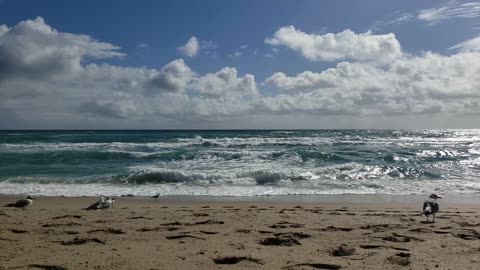 Swimming in Atlantic Ocean, Palm Beach, Florida