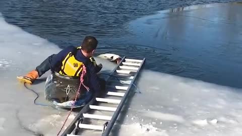 Rescuing A Dog From Semi Frozen Lake! 🥺 #Dogrescued #CareForAnimals