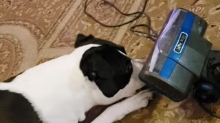 Biggie verses vacuum