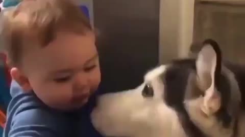 Baby growing up with a love of dog