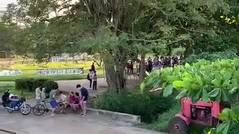 ACTO DE REPUDIO FRENTE A CASA DE OPOSITORA