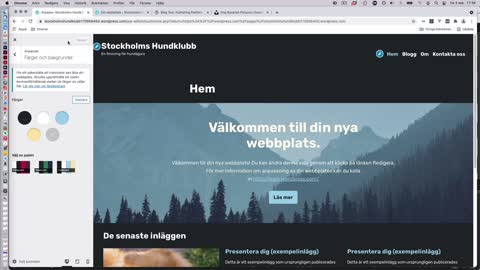 Skapa din hemsida i Wordpress - Del 3