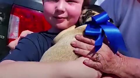 Kid Surprised With Dog He Fostered For His Birthday | The Dodo