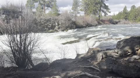 The Peace & Quiet of Tranquil Dillon Falls – Deschutes River Trail – Central Oregon – 4K