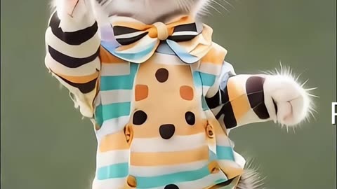 Look! This Kitty Can Dance Better Than You