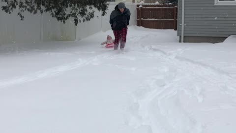 Baby Sled Ride Ends in a Bang