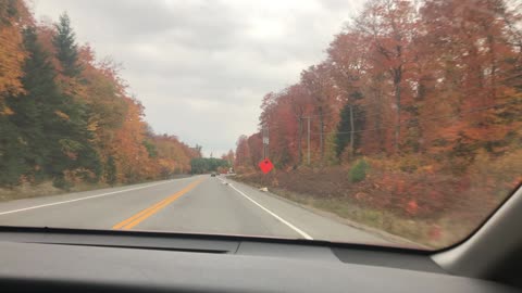 Fall in Algonquin park Canada🍁🍁🇨🇦🇨🇦