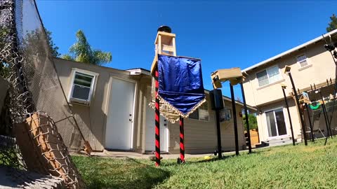 Backyard Squirrel Maze ~ Ninja Warrior Course