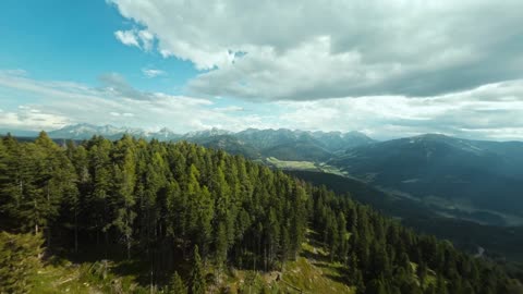 Flying through golden fields